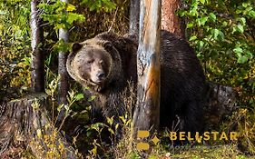 Palliser Lodge — Bellstar Hotels & Resorts